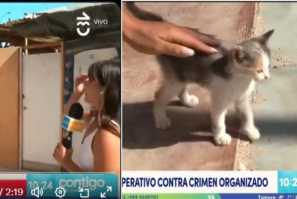 GATO2